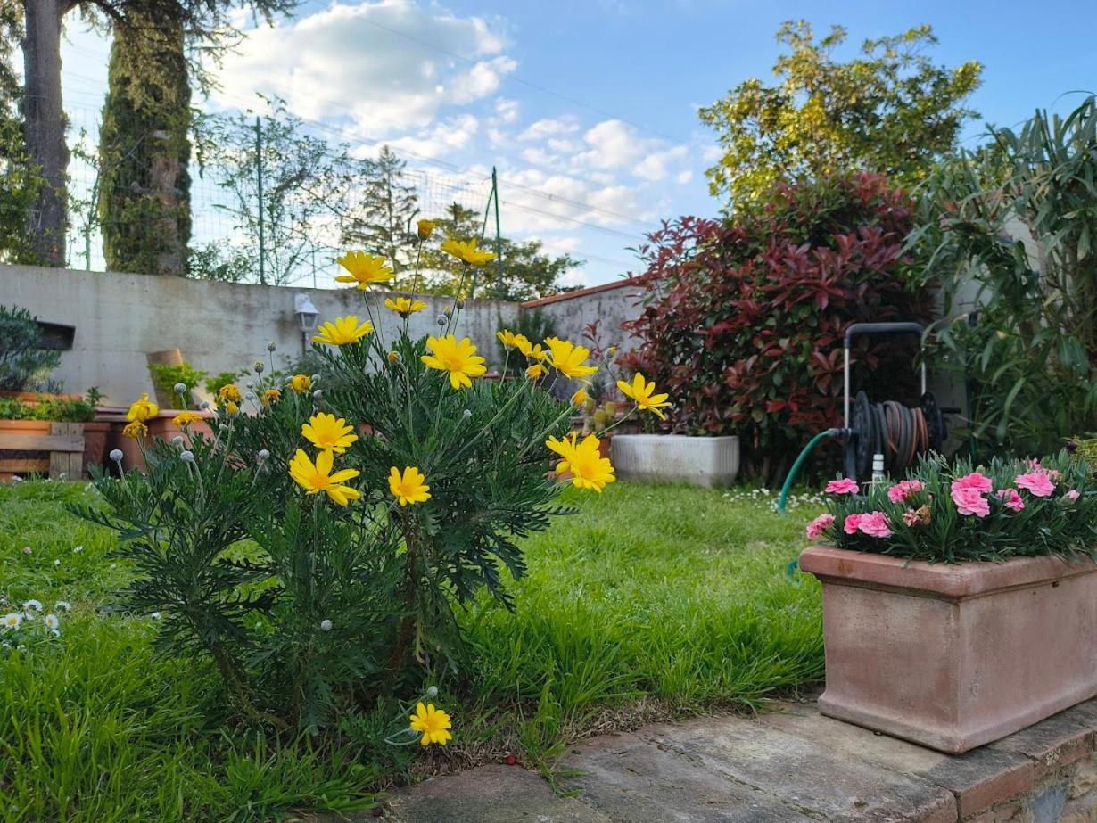 Apartamento La Giravolta Loft Urban & Gea Montelupo Fiorentino Exterior foto
